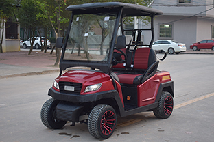 2座电动高尔夫 型号：M1S2