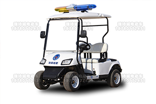 2座敞篷电动巡逻车 型号：RSC-x1-2c