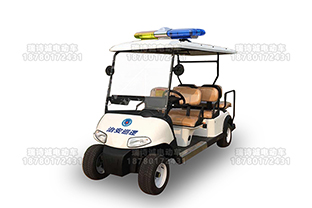 6座敞篷电动巡逻车 型号：RSC-x4+2e