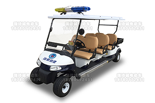6座敞篷电动巡逻车 型号：RSC-x4-6e