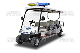 8座电动巡逻车 型号：RSC-X1-8e